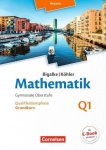 Mathematik Sekundarstufe II. Grundkurs Band Q1 