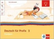 Indianerhefte. Deutsch für Profis 3 