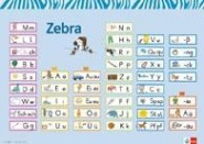 Zebra 1. Poster 
