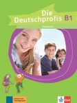 Die Deutschprofis B1. Übungsbuch 