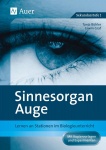 Sinnesorgan Auge 