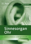 Sinnesorgan Ohr 