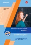 Mathematik für Berufliche Gymnasien. Qualifizierungsphase Niedersachsen. Arbeitsheft 