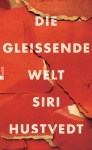Hustvedt, Die gleißende Welt 