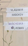 Maschenka 
