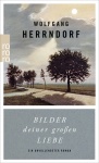 Herrndorf, Bilder deiner großen Liebe 
