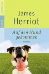 Auf den Hund gekommen. Großdruck 