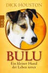 Bulu 