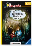 Leserabe Lesestufe 3. Im Labyrinth der .. 