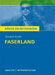 Faserland Textanalyse und Interpretation zu Christian Kracht 