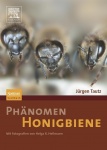 Phänomen Honigbiene 