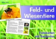 Feld- und Wiesentiere - Fotokarten mit Sachinfos 