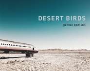 Desert Birds 