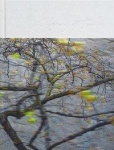 Memory of trees 