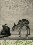 Summer of the Fawn 