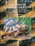 Griechische Landschildkröten 