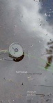 Rolf Julius - Grau schweigt 