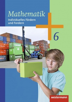 Mathematik 6. Arbeitsheft. Individuelles Fördern und Fordern 