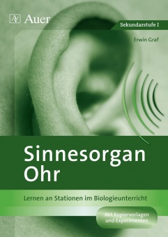 Sinnesorgan Ohr 