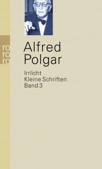 Kleine Schriften 3. Irrlicht 