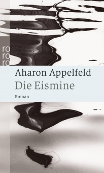 Die Eismine 