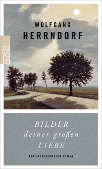 Herrndorf, Bilder deiner großen Liebe 