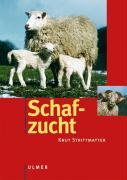 Schafzucht 