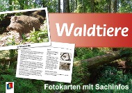 Waldtiere - Fotokarten mit Sachinfos 