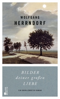 Bilder deiner großen Liebe 