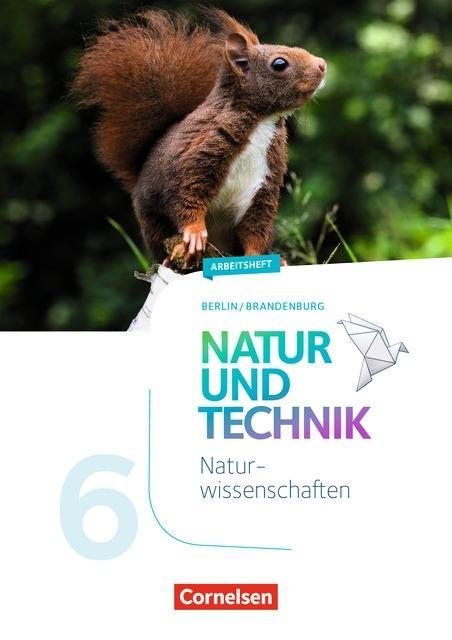 Natur und Technik. Naturwissenschaften 6. Schuljahr. Arbeitsheft 