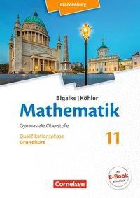 Mathematik Sekundarstufe II. 11. Schuljahr. Schülerbuch. Grundkurs 