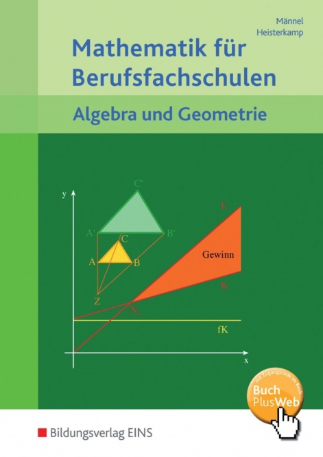 Mathematik für die Berufsfachschule. Schülerband. Algebra und Geometrie 