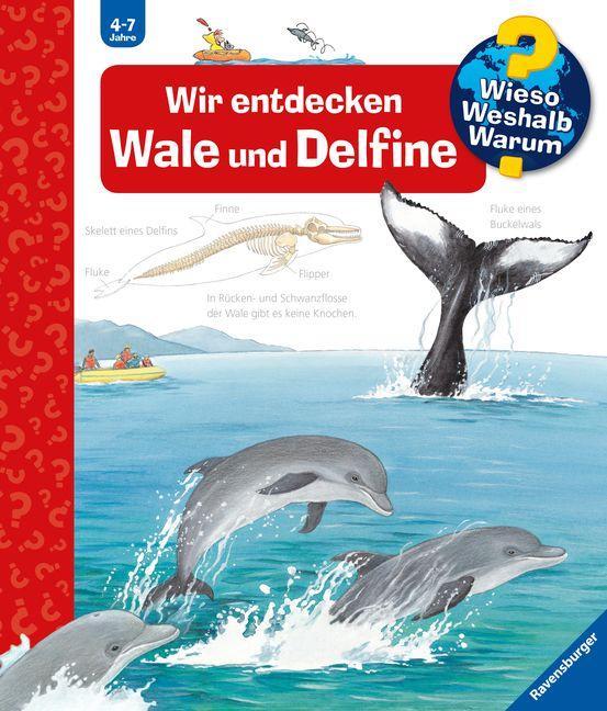 Wieso? Weshalb? Warum? Band 41 Wir entdecken Wale und Delfine 