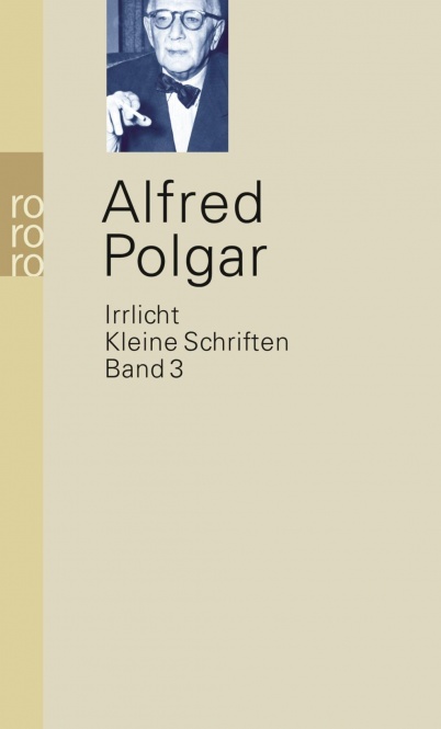 Kleine Schriften 3. Irrlicht 