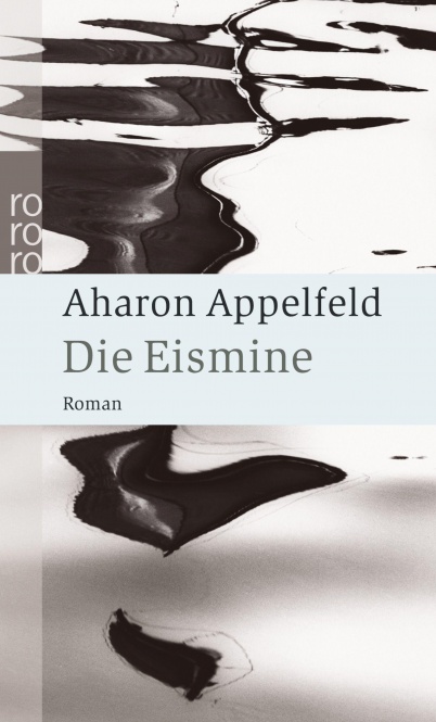Die Eismine 