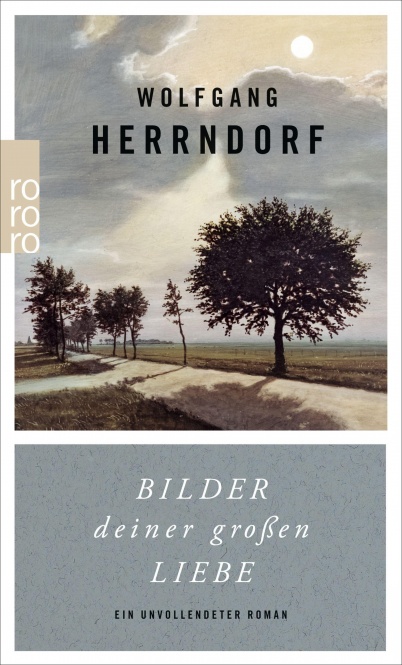 Herrndorf, Bilder deiner großen Liebe 