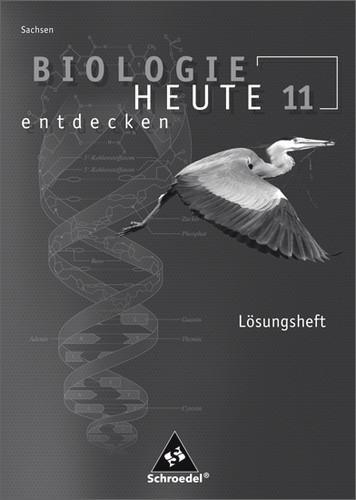 Biologie heute entdecken Arbeitsheft 11 SN Lösungen 