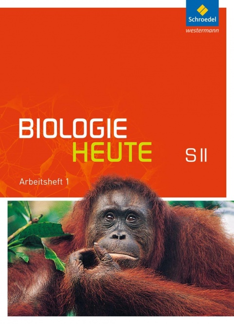 Biologie heute 1. Sekundarstufe II. Arbeitsheft 