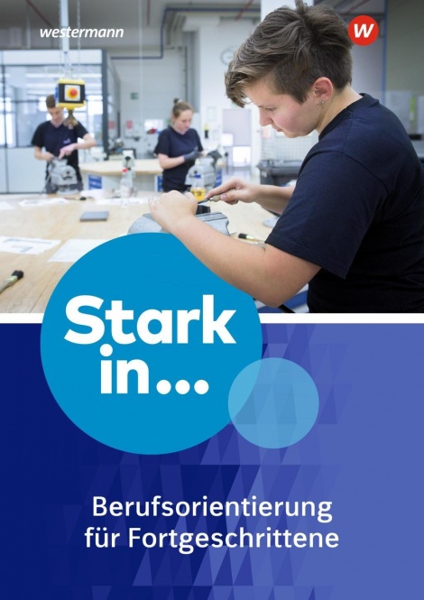 Stark in Berufsorientierung 2 Arbeitsheft 