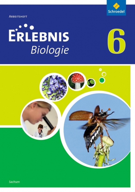 Erlebnis Biologie 6. Arbeitsheft. Sachsen 
