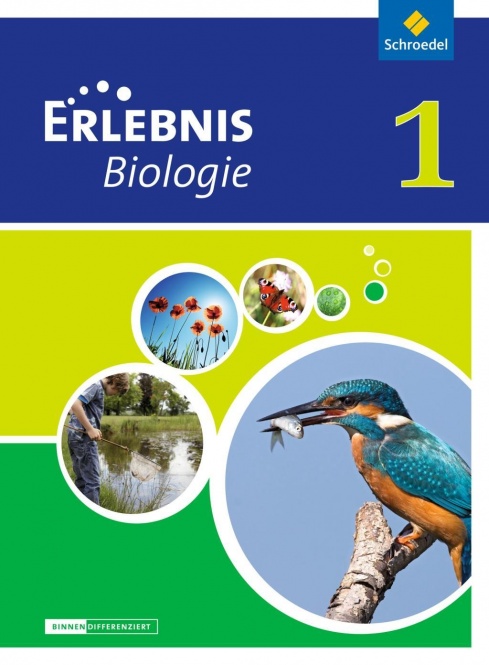 Erlebnis Biologie 1. Schülerband. Differenzierende Ausgabe. Niedersachsen 