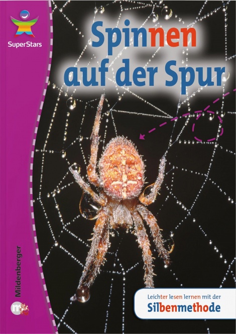 SuperStars - Sachtexte 