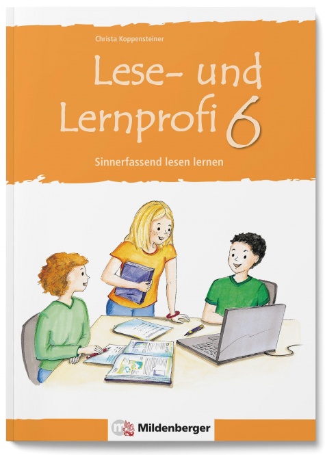Lese- und Lernprofi 6 