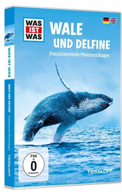 Was ist Was TV. Wale und Delphine / Wales and Dolphins. DVD-Video 