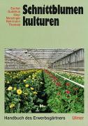 Schnittblumenkulturen 