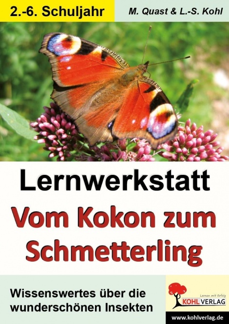 Lernwerkstatt - Vom Kokon zum Schmetterling 