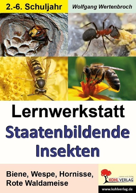 Lernwerkstatt - Staatenbildende Insekten 