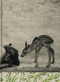 Summer of the Fawn 