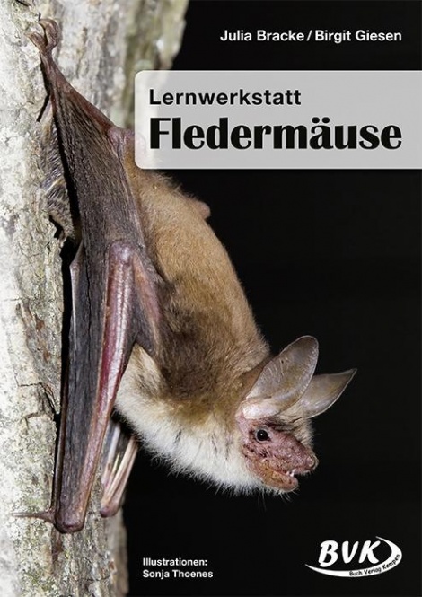 Lernwerkstatt Fledermäuse 